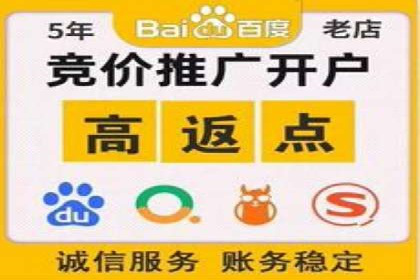 百度竞价广告运营的技巧与误区：成功案例解析